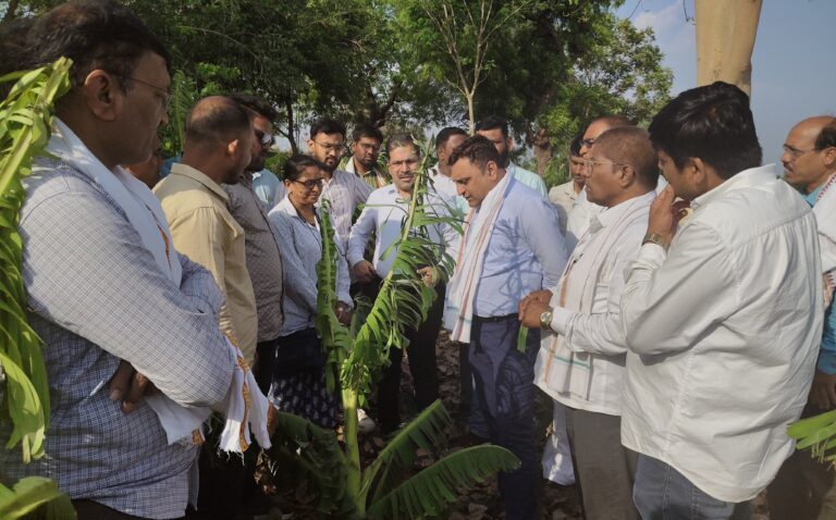 आ. अमोल जावळे यांची गारपीटग्रस्त शेतीची पाहणी; तातडीने पंचनाम्याचे आदेश
